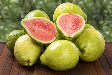 taiwan pink guava plants in nagercoil